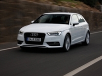 Защита картера A3 2012- 8V