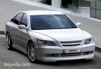 Защита картера Grandeur 2011-