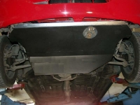 Защита картера Rio I