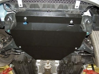 Защита картера Rio II