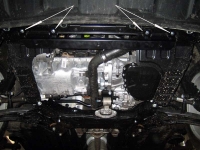 Защита картера Soul