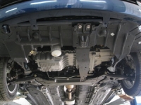 Vortex Estina 2008- all